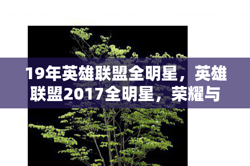 19年英雄联盟全明星,英雄联盟2017全明星,荣耀与梦想的碰撞 19年英雄联盟全明星,英雄联盟2017全明星,荣耀与梦想的碰撞