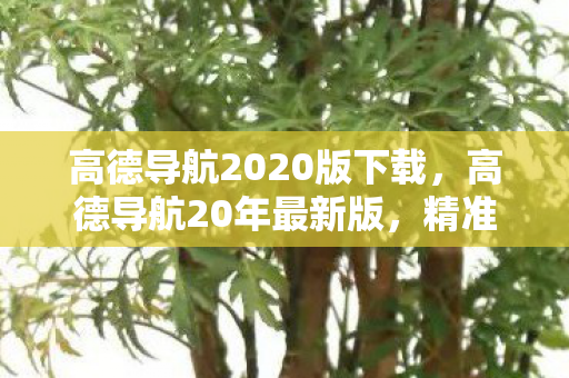 高德导航2020版下载，高德导航20年最新版，精准导航，智能出行