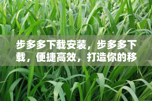 步多多下载安装，步多多下载，便捷高效，打造你的移动应用新体验