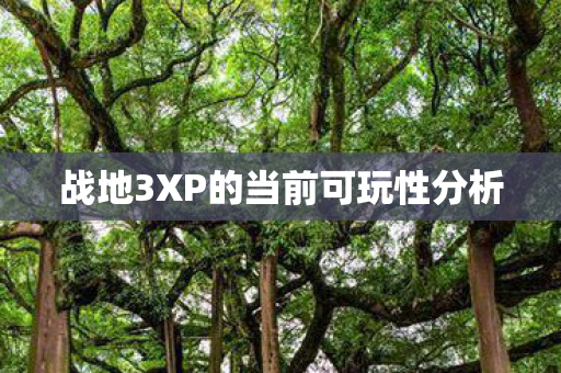 战地3XP的当前可玩性分析 战地3XP的当前可玩性分析
