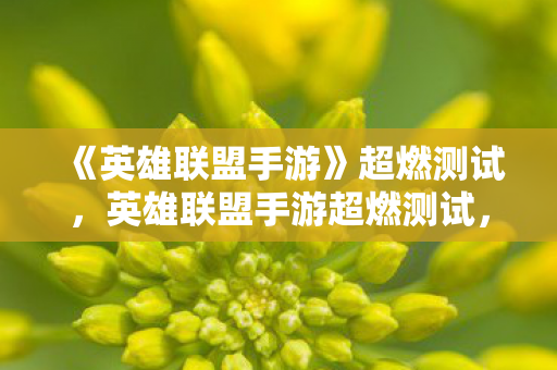 《英雄联盟手游》超燃测试,英雄联盟手游超燃测试,点燃你的指尖战斗激情 《英雄联盟手游》超燃测试,英雄联盟手游超燃测试,点燃你的指尖战斗激情