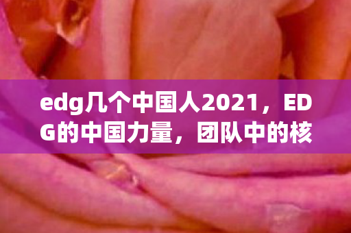 edg几个中国人2021,EDG的中国力量,团队中的核心成员与他们的贡献 edg几个中国人2021,EDG的中国力量,团队中的核心成员与他们的贡献