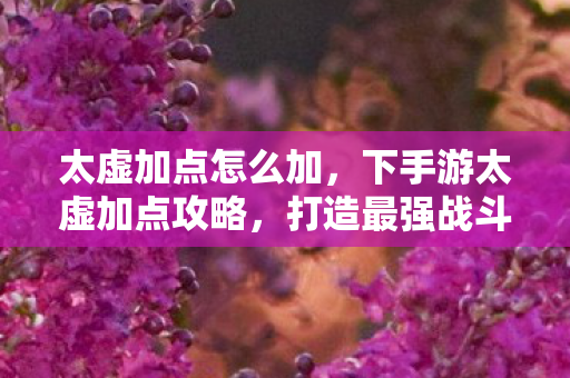 太虚加点怎么加,下手游太虚加点攻略,打造最强战斗力的关键 太虚加点怎么加,下手游太虚加点攻略,打造最强战斗力的关键
