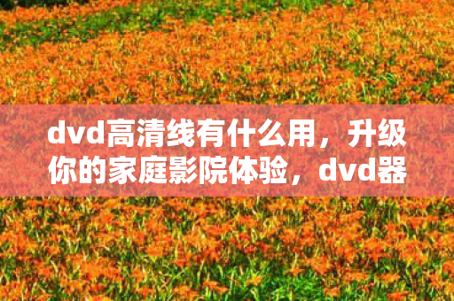 dvd高清线有什么用,升级你的家庭影院体验,dvd器高清线全解析 dvd高清线有什么用,升级你的家庭影院体验,dvd器高清线全解析