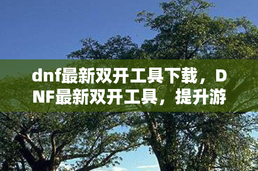 dnf最新双开工具下载,DNF最新双开工具,提升游戏体验的利器 dnf最新双开工具下载,DNF最新双开工具,提升游戏体验的利器