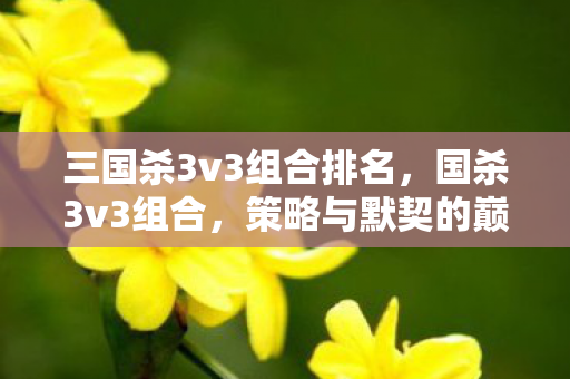 三国杀3v3组合排名，国杀3v3组合，策略与默契的巅峰对决