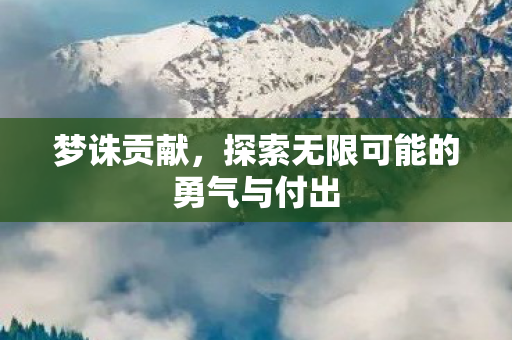 梦诛贡献，探索无限可能的勇气与付出