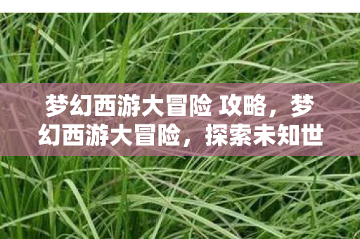 梦幻西游大冒险 攻略,梦幻西游大冒险,探索未知世界的奇幻之旅 梦幻西游大冒险 攻略,梦幻西游大冒险,探索未知世界的奇幻之旅