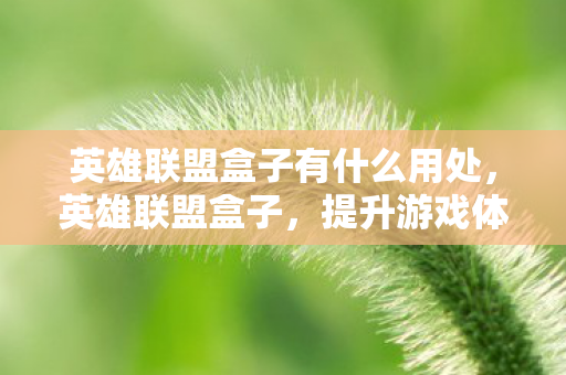 英雄联盟盒子有什么用处,英雄联盟盒子,提升游戏体验的必备神器 英雄联盟盒子有什么用处,英雄联盟盒子,提升游戏体验的必备神器