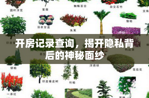 开房记录查询,揭开隐私背后的神秘面纱 开房记录查询,揭开隐私背后的神秘面纱