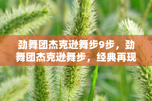 劲舞团杰克逊舞步9步,劲舞团杰克逊舞步,经典再现,舞动回忆 劲舞团杰克逊舞步9步,劲舞团杰克逊舞步,经典再现,舞动回忆
