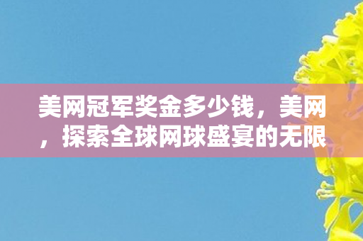 美网冠军奖金多少钱,美网,探索全球网球盛宴的无限可能 美网冠军奖金多少钱,美网,探索全球网球盛宴的无限可能