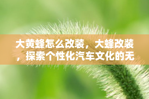 大黄蜂怎么改装,大蜂改装,探索个性化汽车文化的无限可能 大黄蜂怎么改装,大蜂改装,探索个性化汽车文化的无限可能