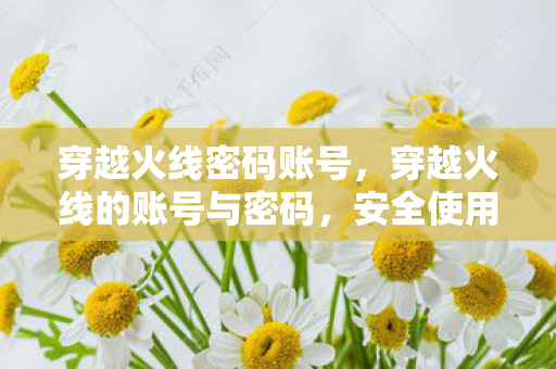 穿越火线密码账号,穿越火线的账号与密码,安全使用的重要性 穿越火线密码账号,穿越火线的账号与密码,安全使用的重要性