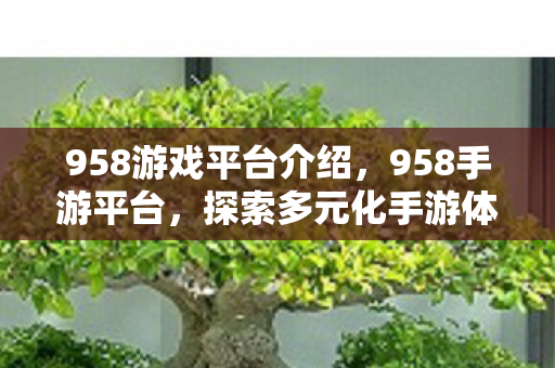 958游戏平台介绍,958手游平台,探索多元化手游体验的新天地 958游戏平台介绍,958手游平台,探索多元化手游体验的新天地