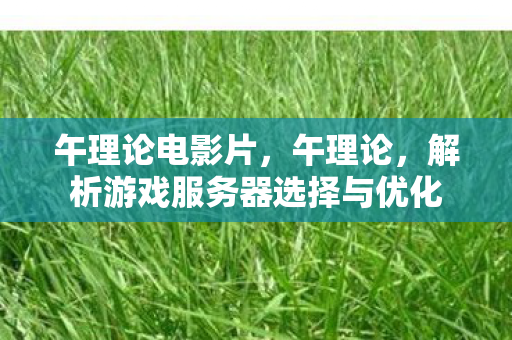 午理论电影片,午理论,解析游戏服务器选择与优化 午理论电影片,午理论,解析游戏服务器选择与优化