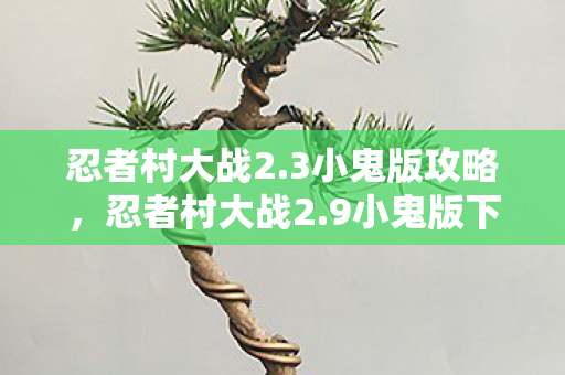 忍者村大战2.3小鬼版攻略，忍者村大战2.9小鬼版下载，重温经典，畅享无限战斗