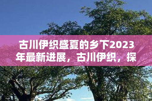 古川伊织盛夏的乡下2023年最新进展,古川伊织,探索游戏世界的无限可能 古川伊织盛夏的乡下2023年最新进展,古川伊织,探索游戏世界的无限可能