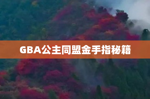 GBA公主同盟金手指秘籍 GBA公主同盟金手指秘籍