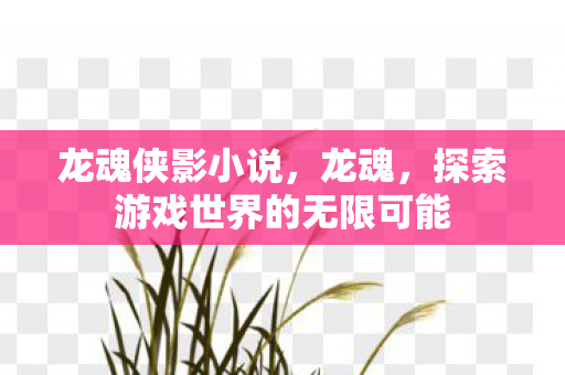 龙魂侠影小说,龙魂,探索游戏世界的无限可能 龙魂侠影小说,龙魂,探索游戏世界的无限可能