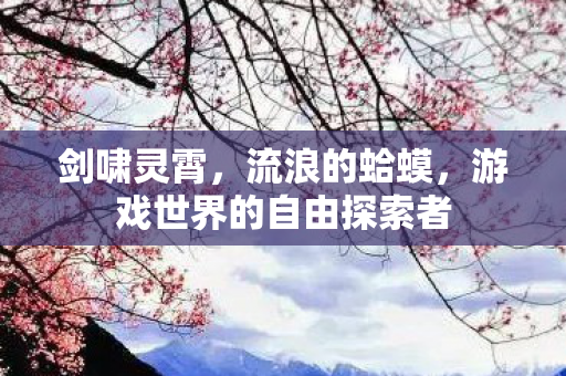 剑啸灵霄，流浪的蛤蟆，游戏世界的自由探索者