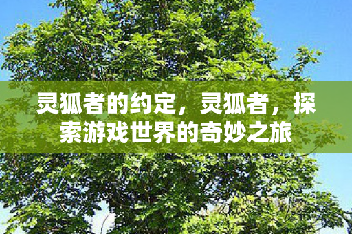 灵狐者的约定，灵狐者，探索游戏世界的奇妙之旅