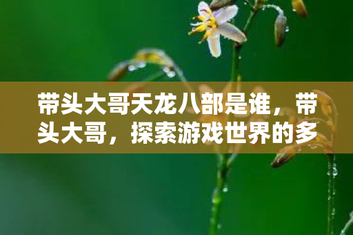 带头大哥天龙八部是谁,带头大哥,探索游戏世界的多元体验与无限可能 带头大哥天龙八部是谁,带头大哥,探索游戏世界的多元体验与无限可能