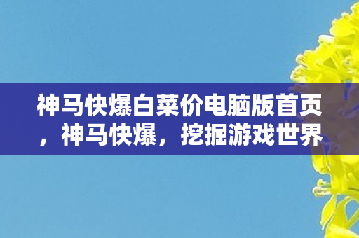 神马快爆白菜价电脑版首页,神马快爆,挖掘游戏世界的无限可能 神马快爆白菜价电脑版首页,神马快爆,挖掘游戏世界的无限可能