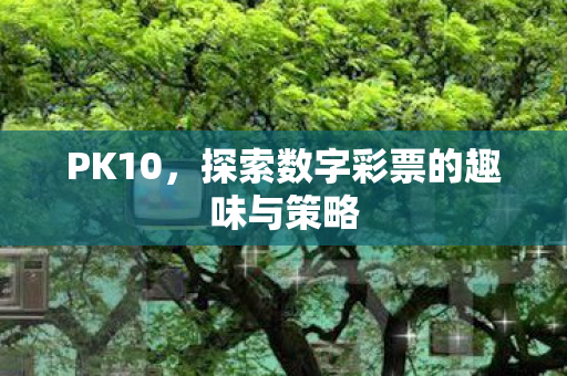 PK10，探索数字彩票的趣味与策略