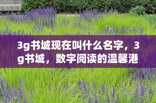 3g书城现在叫什么名字,3g书城,数字阅读的温馨港湾 3g书城现在叫什么名字,3g书城,数字阅读的温馨港湾