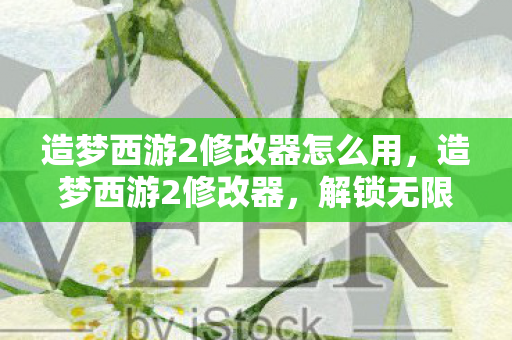 造梦西游2修改器怎么用,造梦西游2修改器,解锁无限可能的冒险之旅 造梦西游2修改器怎么用,造梦西游2修改器,解锁无限可能的冒险之旅