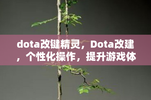 dota改键精灵,Dota改建,个性化操作,提升游戏体验 dota改键精灵,Dota改建,个性化操作,提升游戏体验