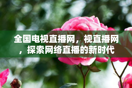 全国电视直播网，视直播网，探索网络直播的新时代