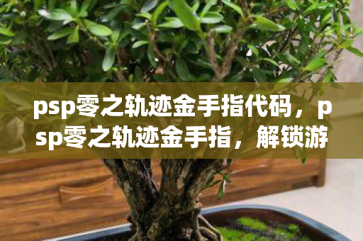 psp零之轨迹金手指代码，psp零之轨迹金手指，解锁游戏新体验