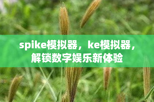 spike模拟器,ke模拟器,解锁数字娱乐新体验 spike模拟器,ke模拟器,解锁数字娱乐新体验