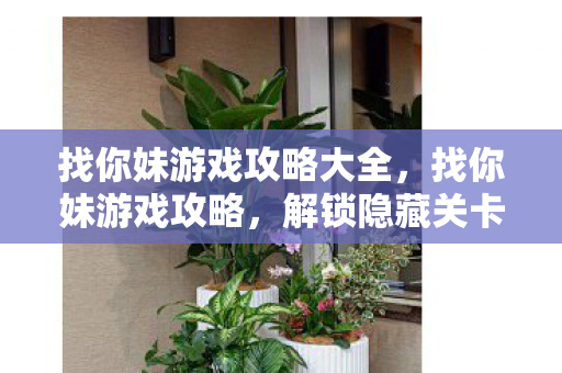 找你妹游戏攻略大全,找你妹游戏攻略,解锁隐藏关卡与高效找茬技巧 找你妹游戏攻略大全,找你妹游戏攻略,解锁隐藏关卡与高效找茬技巧