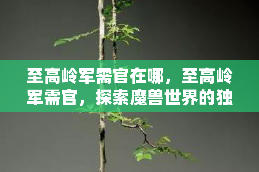 至高岭军需官在哪,至高岭军需官,探索魔兽世界的独特魅力 至高岭军需官在哪,至高岭军需官,探索魔兽世界的独特魅力