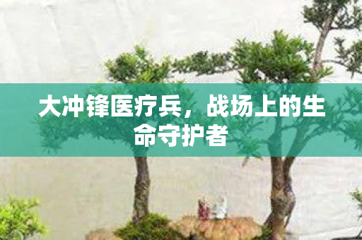 大冲锋医疗兵，战场上的生命守护者