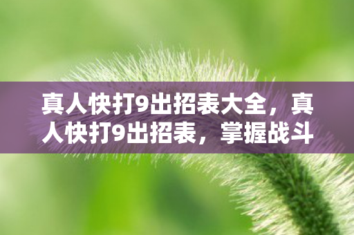 真人快打9出招表大全,真人快打9出招表,掌握战斗艺术的关键 真人快打9出招表大全,真人快打9出招表,掌握战斗艺术的关键