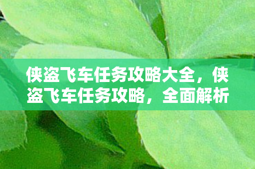 侠盗飞车任务攻略大全,侠盗飞车任务攻略,全面解析游戏策略与技巧 侠盗飞车任务攻略大全,侠盗飞车任务攻略,全面解析游戏策略与技巧