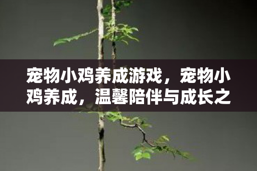 宠物小鸡养成游戏,宠物小鸡养成,温馨陪伴与成长之旅 宠物小鸡养成游戏,宠物小鸡养成,温馨陪伴与成长之旅