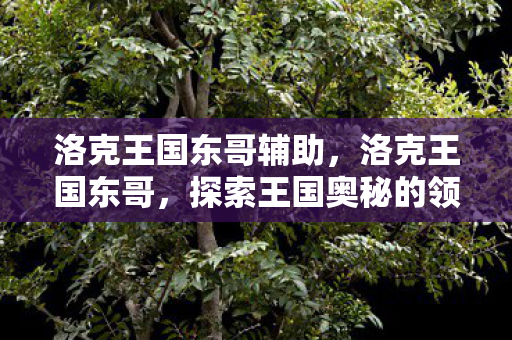 洛克王国东哥辅助,洛克王国东哥,探索王国奥秘的领航者 洛克王国东哥辅助,洛克王国东哥,探索王国奥秘的领航者