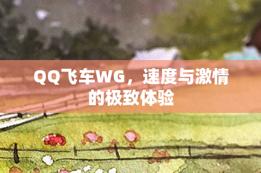 QQ飞车WG,速度与激情的极致体验 QQ飞车WG,速度与激情的极致体验
