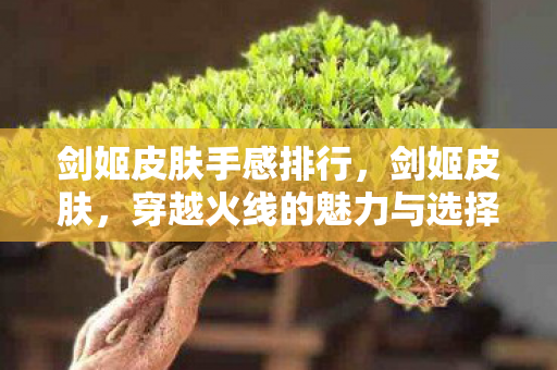 剑姬皮肤手感排行,剑姬皮肤,穿越火线的魅力与选择 剑姬皮肤手感排行,剑姬皮肤,穿越火线的魅力与选择