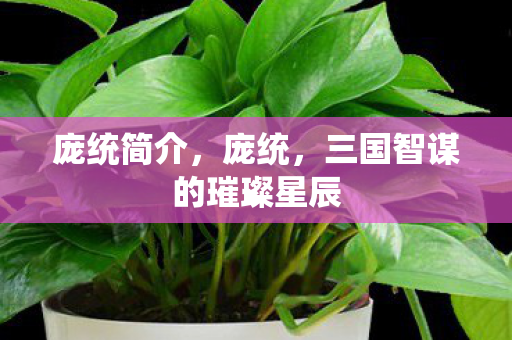 庞统简介，庞统，三国智谋的璀璨星辰