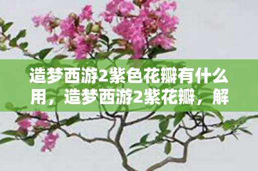 造梦西游2紫色花瓣有什么用，造梦西游2紫花瓣，解锁神秘世界的钥匙
