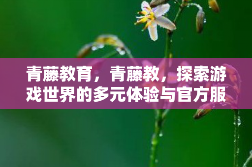 青藤教育,青藤教,探索游戏世界的多元体验与官方服务的独特优势 青藤教育,青藤教,探索游戏世界的多元体验与官方服务的独特优势