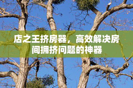 店之王挤房器,高效解决房间拥挤问题的神器 店之王挤房器,高效解决房间拥挤问题的神器