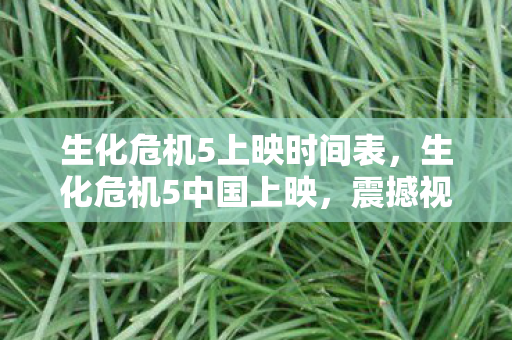 生化危机5上映时间表，生化危机5中国上映，震撼视效与紧张剧情的完美融合
