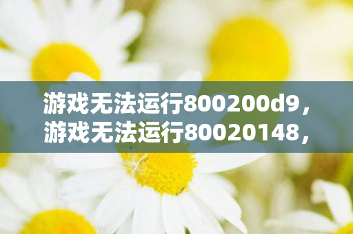游戏无法运行800200d9,游戏无法运行80020148,深度解析与解决方案 游戏无法运行800200d9,游戏无法运行80020148,深度解析与解决方案